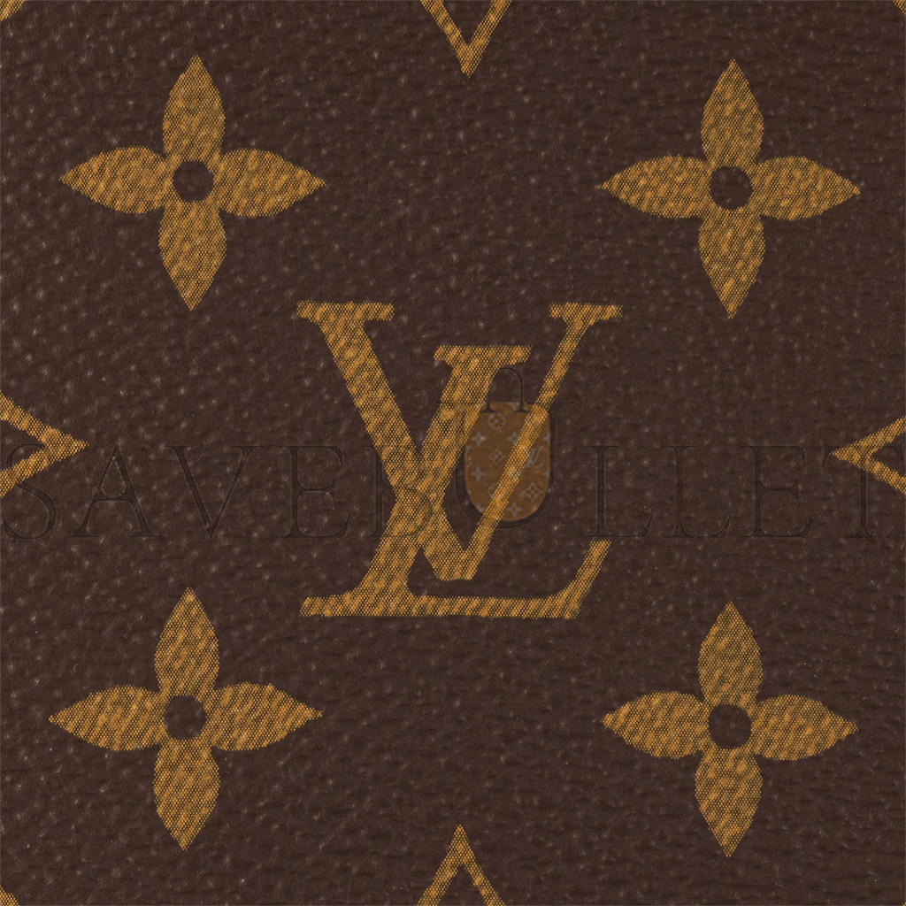 LOUIS VUITTON VIVACITÉ M46999 (25*15*8cm)